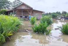Ratusan KK di Kabupaten Musi Rawas Terdampak Banjir, Begini Situasi Terkini