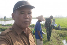 Atasi Kesulitan Air yang Dialami Petani, ini yang Dilakukan BPP Tugumulyo Musi Rawas
