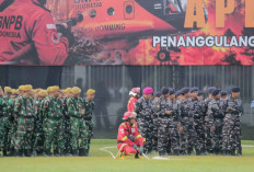 Ada 12 Kabupaten Kota Rawan Karhutla di Sumsel, Butuh Respon Cepat dan Sinergi Maksimal