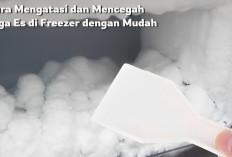 5 Cara Mudah Mengatasi dan Mencegah Bunga Es di Freezer