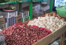 Harga Bawang Bervariasi Dipengaruhi Kualitas dan Ukuran