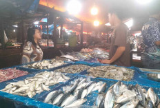 Pasca Idul Adha, Peminat Ikan Laut di Lapak Gatot Kembali Ramai