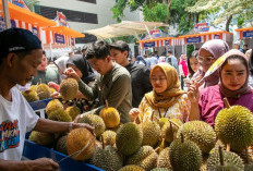 Berkat Pemberdayaan BRI! Sekelompok Petani Durian di Pekalongan Semakin Berkembang 