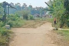 Tiga Kali Ajukan Proposal Tak Kunjung Dibangun Jalan Tanjung Harapan Lubuk Linggau