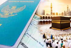 Info Haji 2025 : Segera Tinggalkan Mekkah Bagi yang Melaksanakan Umroh Atau Denda Rp447 Juta