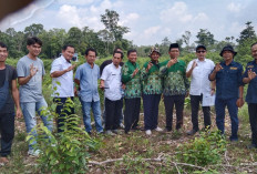 Pembangunan Kampus ITMS Dimulai, Wujud Sinergi Muhammadiyah Dengan Pemerintah Daerah