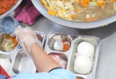 Mau Kasih Masukan Program MBG, Hubungi Call Center 127 Siaga 24 Jam