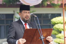 Kabar Gembira, 4.600 PPPK Paruh Waktu Akan Dilantik Akhir Desember