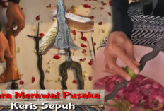 8 Langkah Mudah Merawat Pusaka Keris Sepuh Peninggalan Kakek