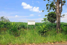 Sekolah Rakyat Akan dibangun Awal Tahun 2026