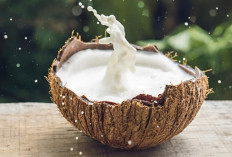 Penderita Asam Lambung Wajib Tahu! 5 Bahan Pengganti Santan untuk Masakan Lebaran