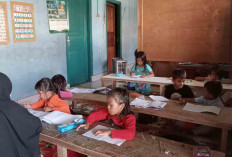 Bimbing Anak PAUD dan SD, Bimbel Umi Lubuk Linggau Punya Tenaga Pengajar Berpengalaman