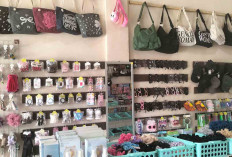 Toko Aksesoris dan Toys Store Lengkap Harga Terjangkau Mulai 2.000-an