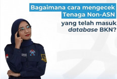 Mau Daftar PPPK 2024 dan Cek Data Non ASN di Layanan Resmi BKN, Begini Caranya