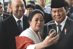 Puan Buka Suara: Kader PDIP Belum Dipanggil Prabowo, Jadi Calon Menteri Kabinet 