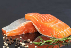 6 kandungan Khasiat Ikan Salmon Untuk Kesehatan Tubuh Manusia