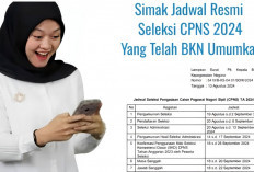 Simak Jadwal Resmi Seleksi CPNS 2024, yang Telah BKN Umumkan, Serta Tips Sukses Seleksinya