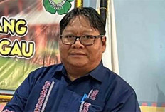 PPNI Lubuk Linggau : Perawat Harus Berikan Service Excelent pada Pasien