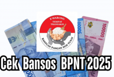 Bansos BPNT 1 Februari 2025, Segera Disalurkan, Begini Cara Ceknya