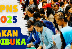 Kabar Bahagia Pendaftaran CPNS 2025? Buka di 22 Kemeneterian Berikut Jadwal dan Kebutuhan Formasi