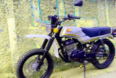Incaran Para Petualang, Cek Segini Harga dan Pajak Motor Honda Win 100 dari Tahun ke Tahun