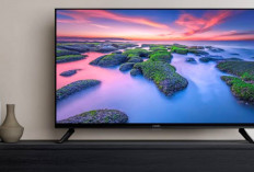 7 Rekomendasi Smart TV Xiaomi Terbaik 2024: Punya Desain Mewah dan Harga Terjangkau