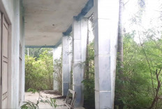 Sport Center Tidak Terawat, Sekda Lubuk Linggau Minta DLH dan Perkim Segera Bersihkan