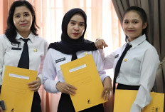 Cek Sekarang! NI PPPK Paruh Waktu 2025 Sudah Rilis, Gaji Lulusan S1 Bisa Tembus Rp5 Juta Lebih