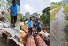 Petani di 3 Desa Bersyukur Saluran Irigasi Jebol Selesai Diperbaiki