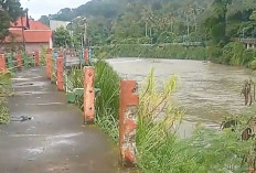 Besi Sandaran Jembatan di Kampung Warna Warni Banyak Hilang, Polisi Segera Cek TKP