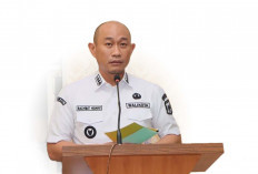 Program Bantuan UMKM Rp 2 Juta dari Pemkot Lubuk Linggau Segera Direalisasikan