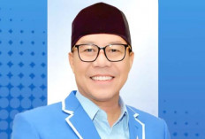 Soal Dukungan di Pilkada Lubuklinggau, Ketua DPD Partai Demokrat Bilang Begini