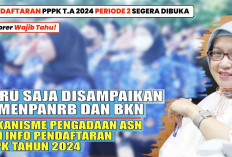 MenPAN RB Katakan Bagi Peserta PPPK 2024 Tahap II Ada Regulasi Baru, Ada penyesuaian Jabatan