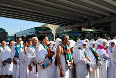 PPIH Arab Saudi Siapkan Mitigasi Antisipasi Potensi Kepadatan Pergerakan Jemaah Jalur Arafah Menuju Muzdalifah