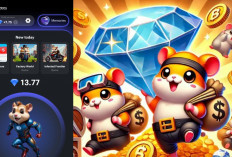 Begini Cara Mengumpulkan Diamond di Hamster Kombat, Season Interlude September 2024