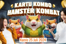 Baru Combo Harian Hamster Kombat Hari Ini 25 Juli 2024, Garap Hingga Jutaan Koin Gratis