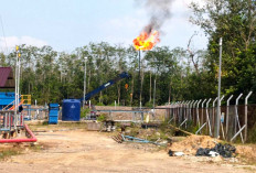 Dari Hutan Karet Menjadi Penjaga Energi Negeri, Kisah Lapangan Cantik di Jantung Muara Enim
