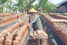 Produksi Pabrik Batu Bata Merah Mengalami Penurunan Saat Musim Penghujan