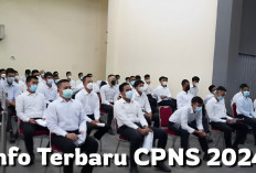 Ada 19.042 Pendaftar CPNS 2024 Tidak Memenuhi Persyaratan, Diingatkan Pelamar di Sumsel Jangan Percaya Calo