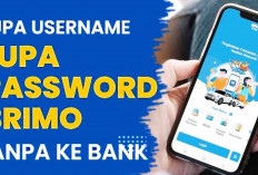 Password BRImo Lupa, Ikuti 11 Langhak-Langkah Mengatasi dengan Mudah berikut ini