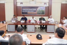 Demi Ketahanan Pangan, Muba Bentuk Brigade Pangan Tugasnya Kompleks