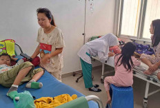 BGN Tegaskan Program Makan Bergizi Gratis Sementara Dihentikan 