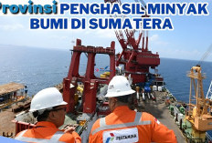 Pulau Sumatera Punya 3 Provinsi Penghasil Minyak Bumi Terbesar di Indonesia, Sumatera Selatan Masuk No 2