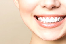 Kenali 4 Jenis Gigi dan Fungsinya