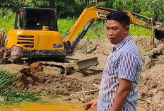 Sebulan Bisa Untung Rp 8 Juta, BUMDes Sukarena Musi Rawas Fokus Budidaya Ikan dan Ayam Petelur 