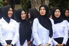 Viral CPNS 2026 Dibuka Agustus? Cek Fakta, Klarifikasi Kemenpan-RB, dan Info Resmi Sekolah Kedinasan 2025