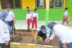 MIN 1 Musi Rawas, Ikut Serta Sukseskan Gerakan Tanam 1 Juta Pohon Matoa