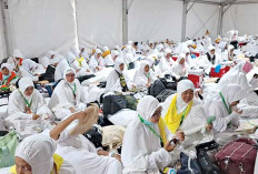 Marak Penipuan Calon Jamaah, Kemenhaj Tegas Tertibkan Semua Travel Umrah dan KBIH