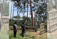 Petugas PLN Tersengat Listrik di Musi Rawas, Begini Kronologinya