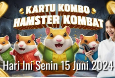 Combo Harian Hamster Kombat Hari Ini, Siapkan Wallet Cryptomu dan Garap Hingga 5 Juta Koin